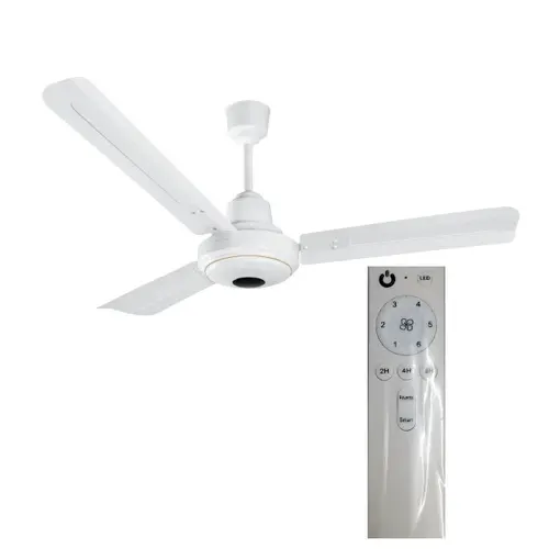 BLDC Ceiling Fan